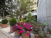 Сдаётся  объект 1 350 м², м. Халглар Достлугу, photo 2 from 8