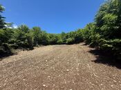 Satılır  torpaq 8 sot, photo 1 from 4