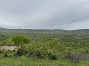 Satılır  torpaq 450 sot, photo 6 from 6