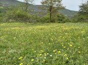 Satılır  torpaq 450 sot, photo 1 from 6