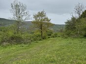 Satılır  torpaq 450 sot, photo 3 from 6