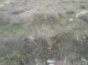 Satılır  torpaq 5.1 sot, Badamdar q., photo 3 from 4