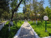 Satılır  obyekt 20 000 m², Ələt q., photo 4 from 8