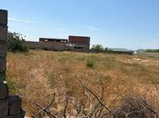 Satılır  torpaq 12 sot, Nardaran q., photo 2 from 5