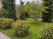 İcarəyə verilir 6 otaqlı həyət evi/bağ evi 250 m², Buzovna q., photo 8 from 8