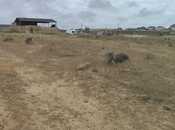 Satılır  torpaq 6 sot, Saray q., photo 7 from 7