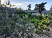 Продаётся  участок 40 сот, пос. Нардаран, photo 6 from 8