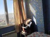 İcarəyə verilir 3 otaqlı yeni tikili 60 m², photo 2 from 6