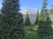 Продаётся  участок 12 сот, пос. Мардакан, photo 2 from 4