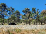 Satılır  torpaq 24 sot, Badamdar q., photo 6 from 6