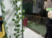 Сдаётся  объект 35 м², м. Нефтчиляр, photo 7 from 8