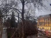 Продаётся 3-комн. новостройка 160 м², м. Сахил, photo 6 from 8