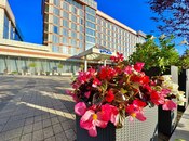 Satılır 2 otaqlı yeni tikili 70 m², Qara Qarayev m., photo 2 from 8