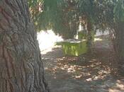 Satılır  torpaq 2 sot, Badamdar q., photo 5 from 8