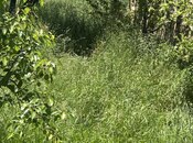 Продаётся  участок 3 сот, photo 3 from 3
