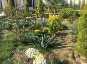 Satılır 4 otaqlı həyət evi/bağ evi 180 m², Mərdəkan q., photo 4 from 8