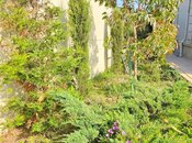 İcarəyə verilir 5 otaqlı həyət evi/bağ evi 280 m², Buzovna q., photo 8 from 8