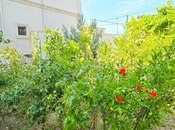 İcarəyə verilir 5 otaqlı həyət evi/bağ evi 280 m², Buzovna q., photo 6 from 8