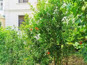 İcarəyə verilir 5 otaqlı həyət evi/bağ evi 280 m², Buzovna q., photo 7 from 8