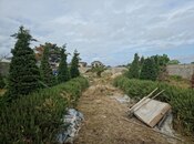 Продаётся  участок 12 сот, пос. Мардакан, photo 3 from 6