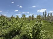 Продаётся  участок 6 сот, photo 4 from 8