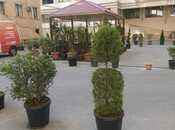 Продаётся 3-комн. новостройка 95 м², м. Элмляр Академиясы, photo 6 from 8