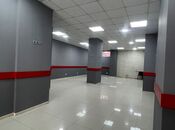 İcarəyə verilir  obyekt 100 m², Yeni Yasamal q., photo 6 from 8