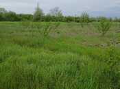 Satılır  torpaq 6 sot, Saray q., photo 1 from 1
