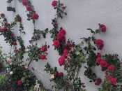 İcarəyə verilir 5 otaqlı həyət evi/bağ evi 210 m², Novxanı q., photo 7 from 8