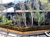 Satılır 3 otaqlı köhnə tikili 100 m², İçəri Şəhər m., photo 4 from 8