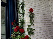 Satılır 7 otaqlı həyət evi/bağ evi 333 m², Badamdar q., photo 7 from 8