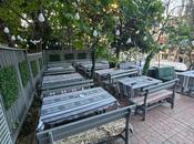 İcarəyə verilir  obyekt 200 m², Nəsimi m., photo 3 from 8