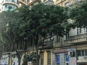 Satılır 3 otaqlı köhnə tikili 86 m², İçəri Şəhər m., photo 1 from 8