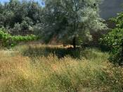 Satılır  torpaq 5 sot, Yeni Ramana q., photo 3 from 6