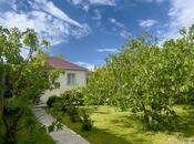 İcarəyə verilir 3 otaqlı həyət evi/bağ evi 90 m², Novxanı q., photo 2 from 8