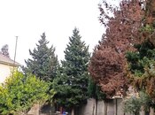 Satılır  torpaq 8 sot, Mərdəkan q., photo 2 from 2