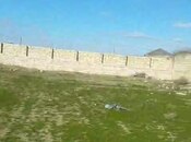 Satılır  torpaq 12 sot, Nardaran q., photo 2 from 4