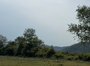 Продаётся  участок 75 сот, photo 4 from 8