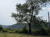 Продаётся  участок 75 сот, photo 3 from 8