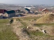 Продаётся  участок 10 сот, пос. Атъялы, photo 2 from 8