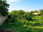 Satılır  torpaq 9 sot, Novxanı q., photo 1 from 4