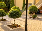 İcarəyə verilir 5 otaqlı həyət evi/bağ evi 300 m², Mərdəkan q., photo 3 from 8