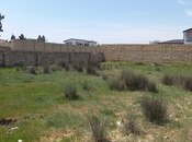 Satılır  torpaq 12 sot, Nardaran q., photo 2 from 4