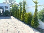 İcarəyə verilir 3 otaqlı həyət evi/bağ evi 140 m², Buzovna q., photo 5 from 8