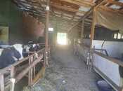 Продаётся 10-комн. дом/дача 1 000 м², photo 8 from 8