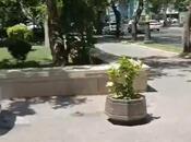 Продаётся  объект 390 м², м. Сахил, photo 2 from 8