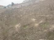 Satılır  torpaq 10 sot, Badamdar q., photo 4 from 4