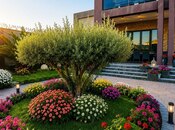 İcarəyə verilir 4 otaqlı həyət evi/bağ evi 300 m², Mərdəkan q., photo 6 from 8