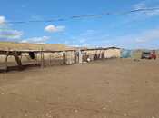 Elan №6215333 - Ağstafa, Ağstafa, 600 m²