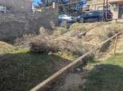 Satılır  torpaq 1 sot, Badamdar q., photo 1 from 8